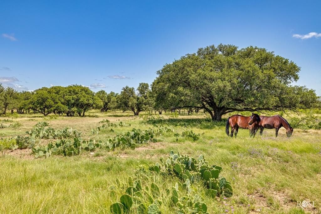 88.86 acres in Tom Green County - photo 53