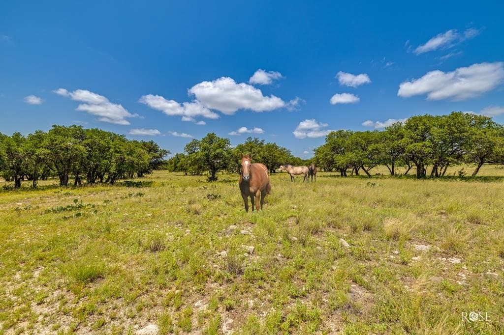 88.86 acres in Tom Green County - photo 52