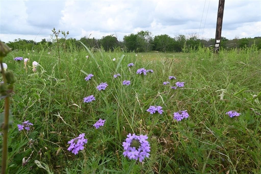 2.84 acres in Ellis County gallery image 4
