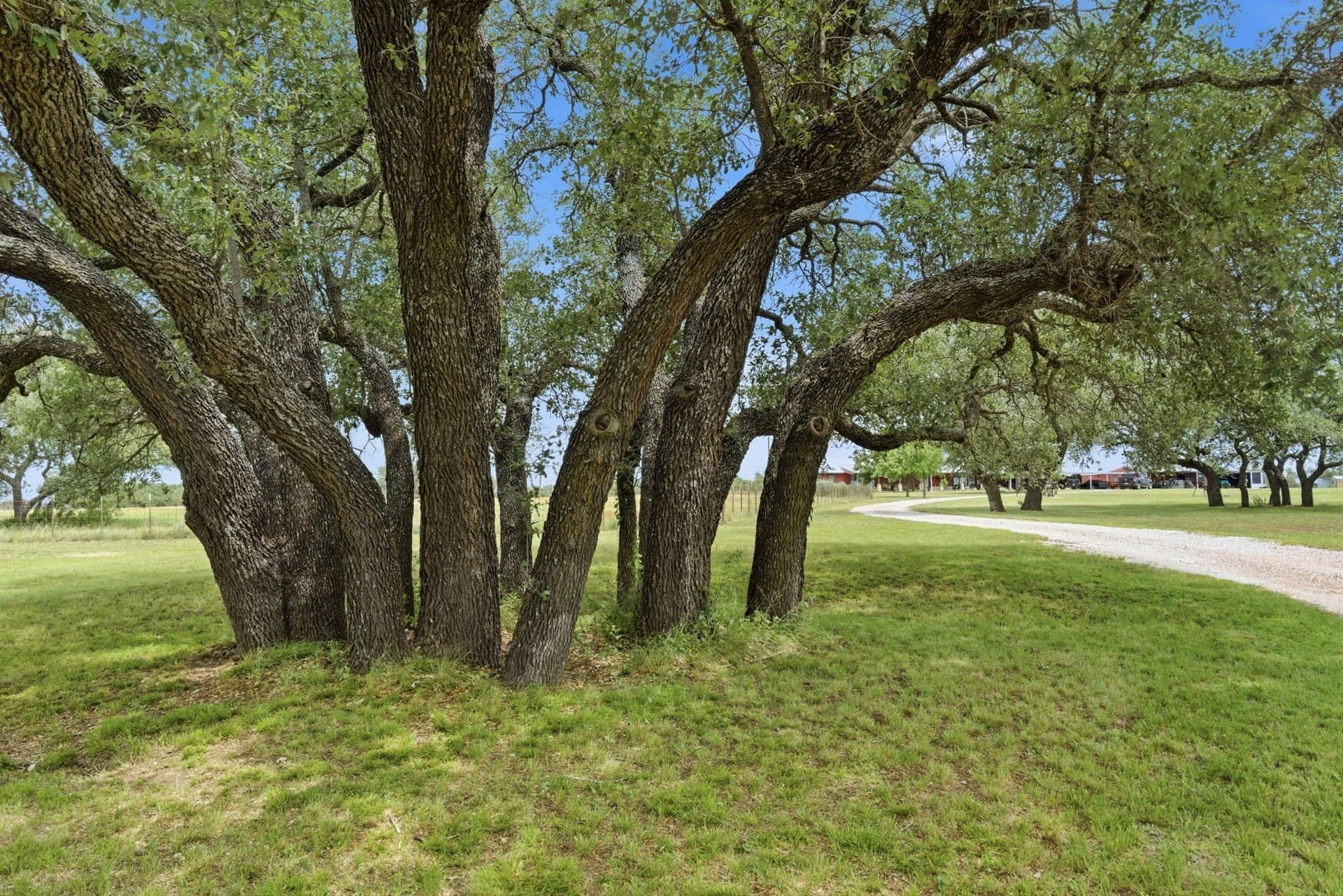 20 acres in Mills County - photo 37