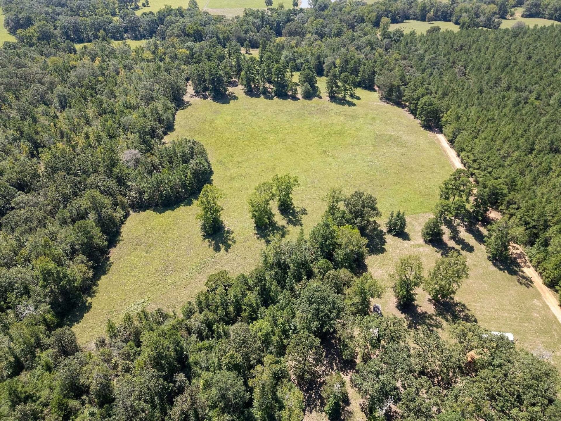 11.6 acres in Texas County gallery image 4