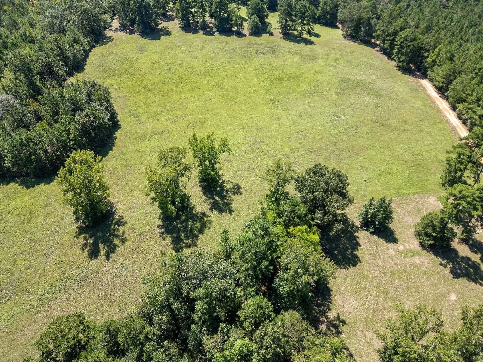 11.6 acres in Texas County