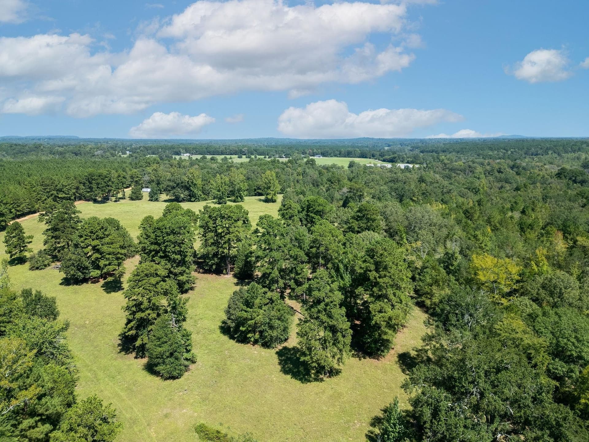 11.6 acres in Texas County gallery image 3