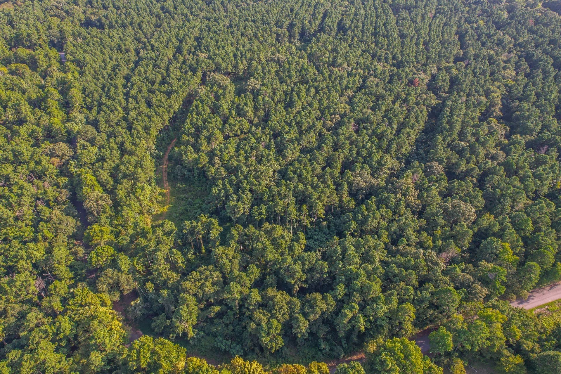 30 acres in Henderson County - photo 3