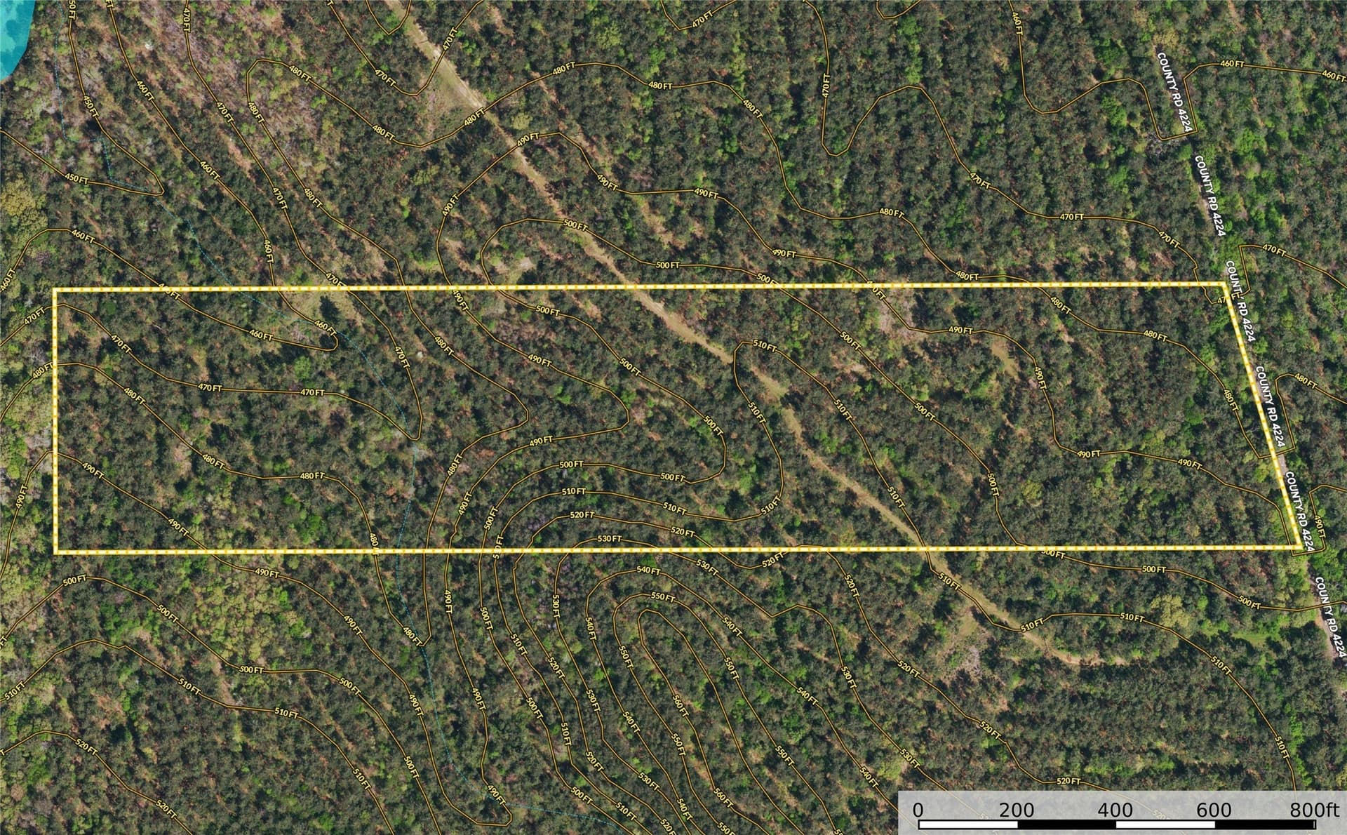 30 acres in Henderson County - photo 11