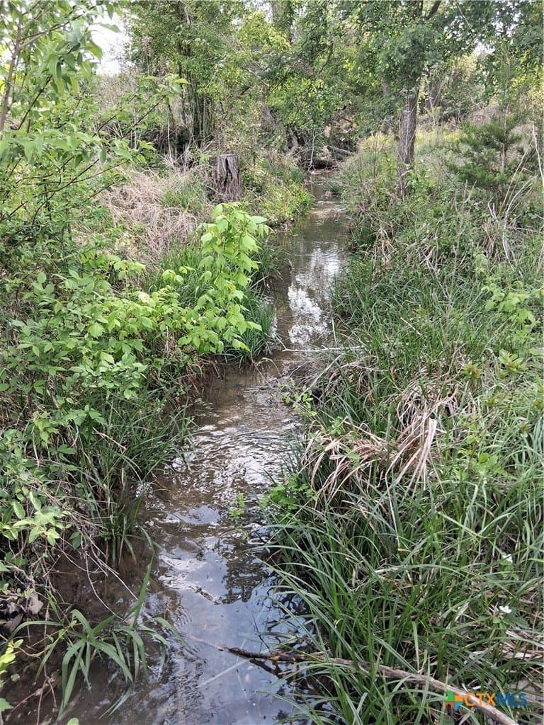 27.18 acres in Bell County - photo 16