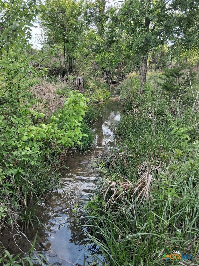 27.18 acres in Bell County gallery image 2