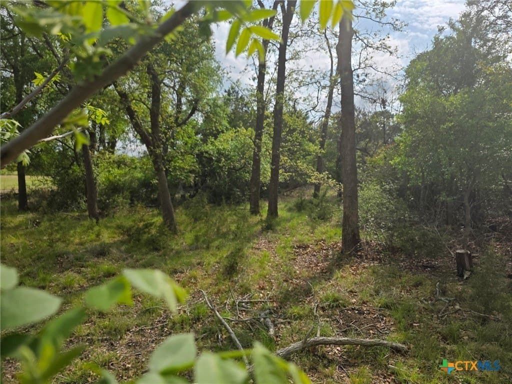 27.18 acres in Bell County - photo 17
