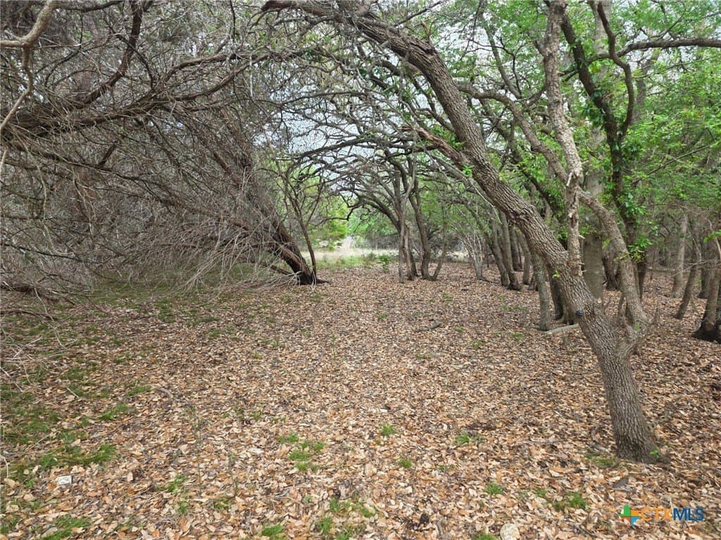 27.18 acres in Bell County - photo 21