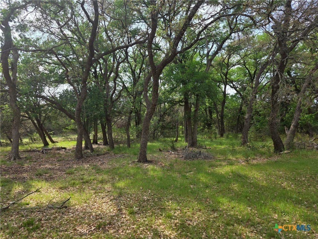 27.18 acres in Bell County - photo 19