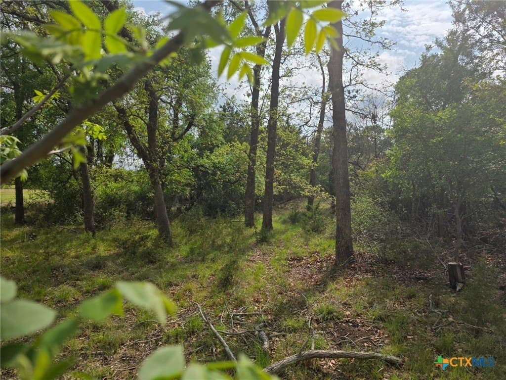27.18 acres in Bell County - photo 15