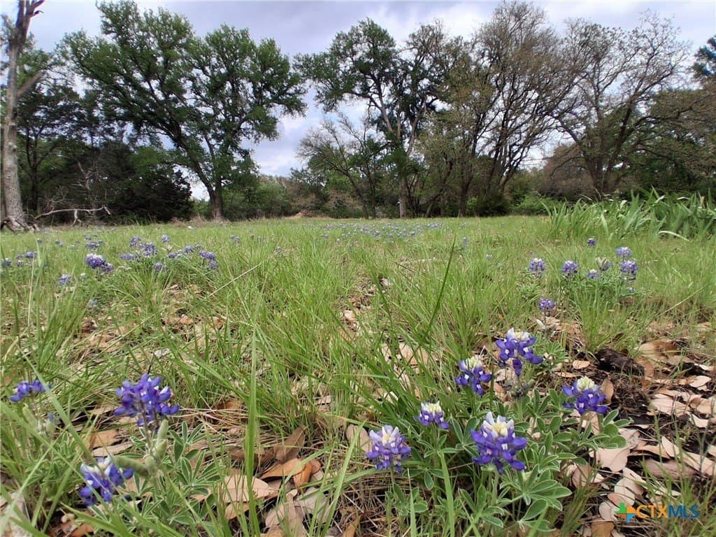 27.18 acres in Bell County gallery image 3