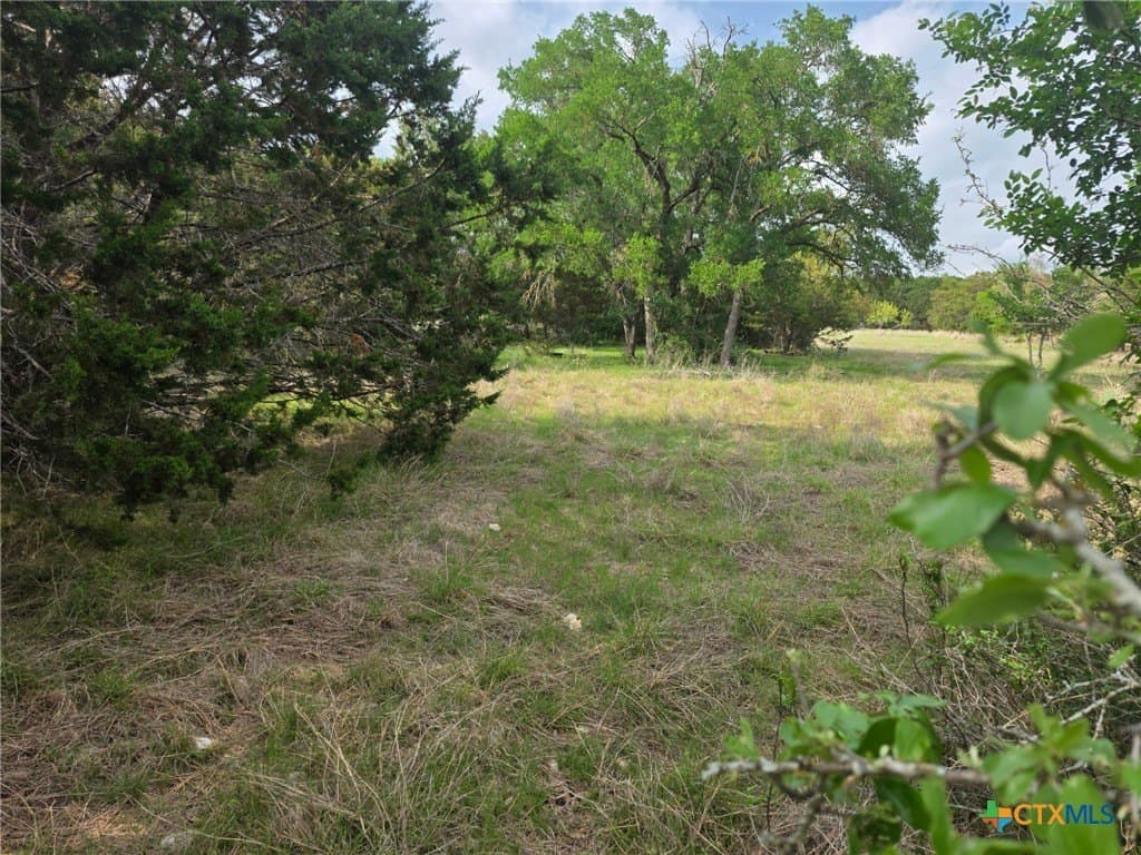 27.18 acres in Bell County - photo 22