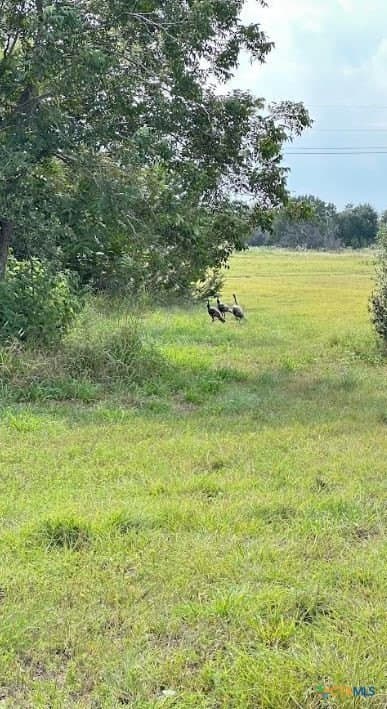 27.18 acres in Bell County - photo 9