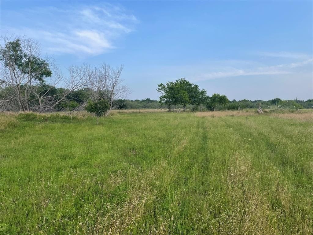 5 acres in Limestone County gallery image 2