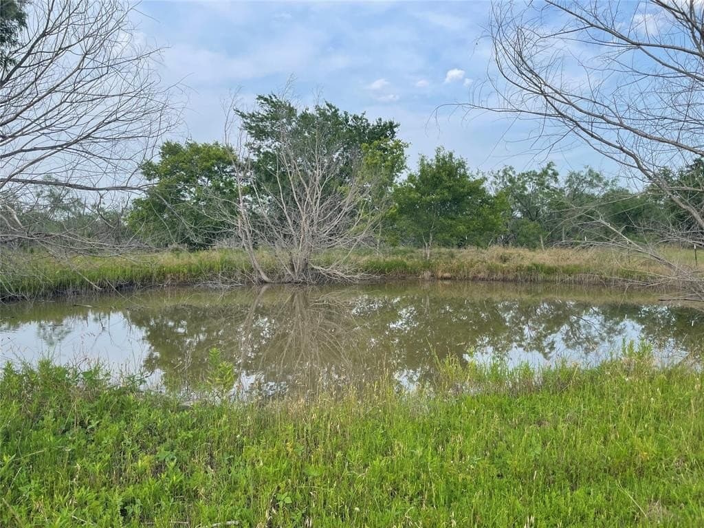 5 acres in Limestone County gallery image 3