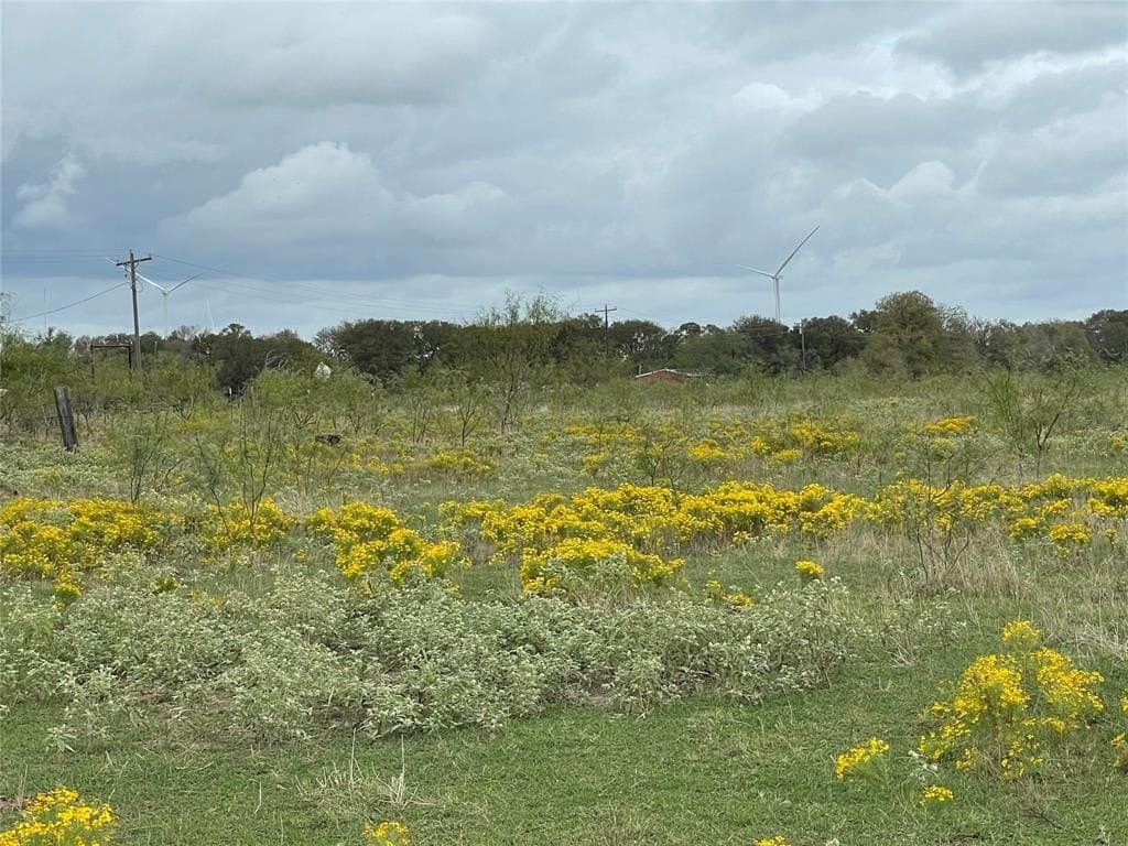 5 acres in Limestone County gallery image 4