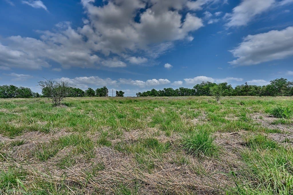 7.01 acres in Fayette County gallery image 3