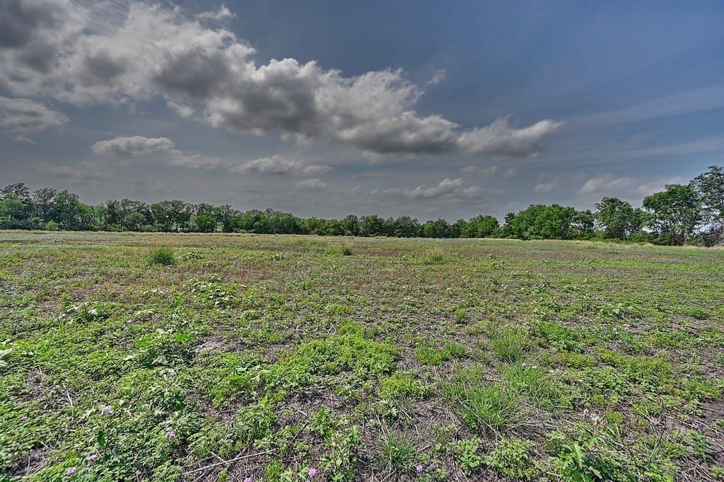 7.01 acres in Fayette County gallery image 2