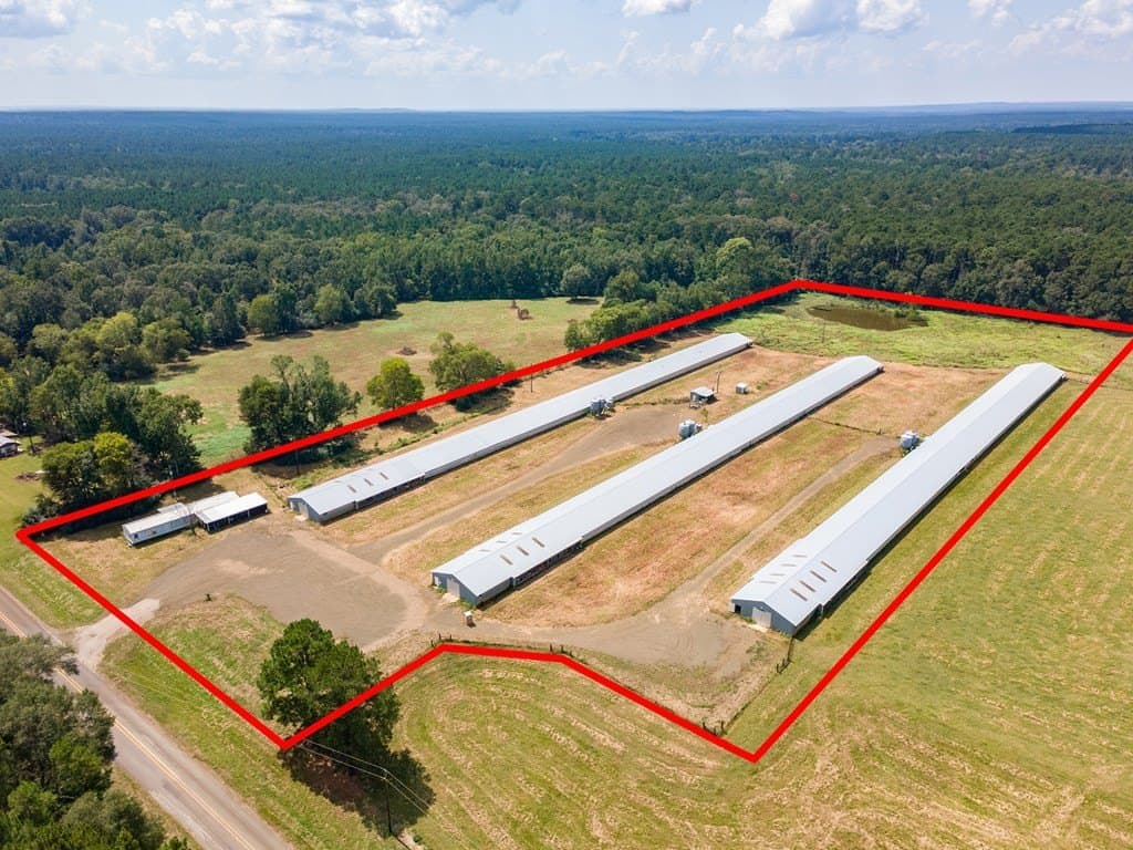 12.25 acres in Texas County gallery image 4