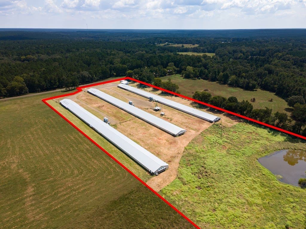 12.25 acres in Texas County gallery image 3