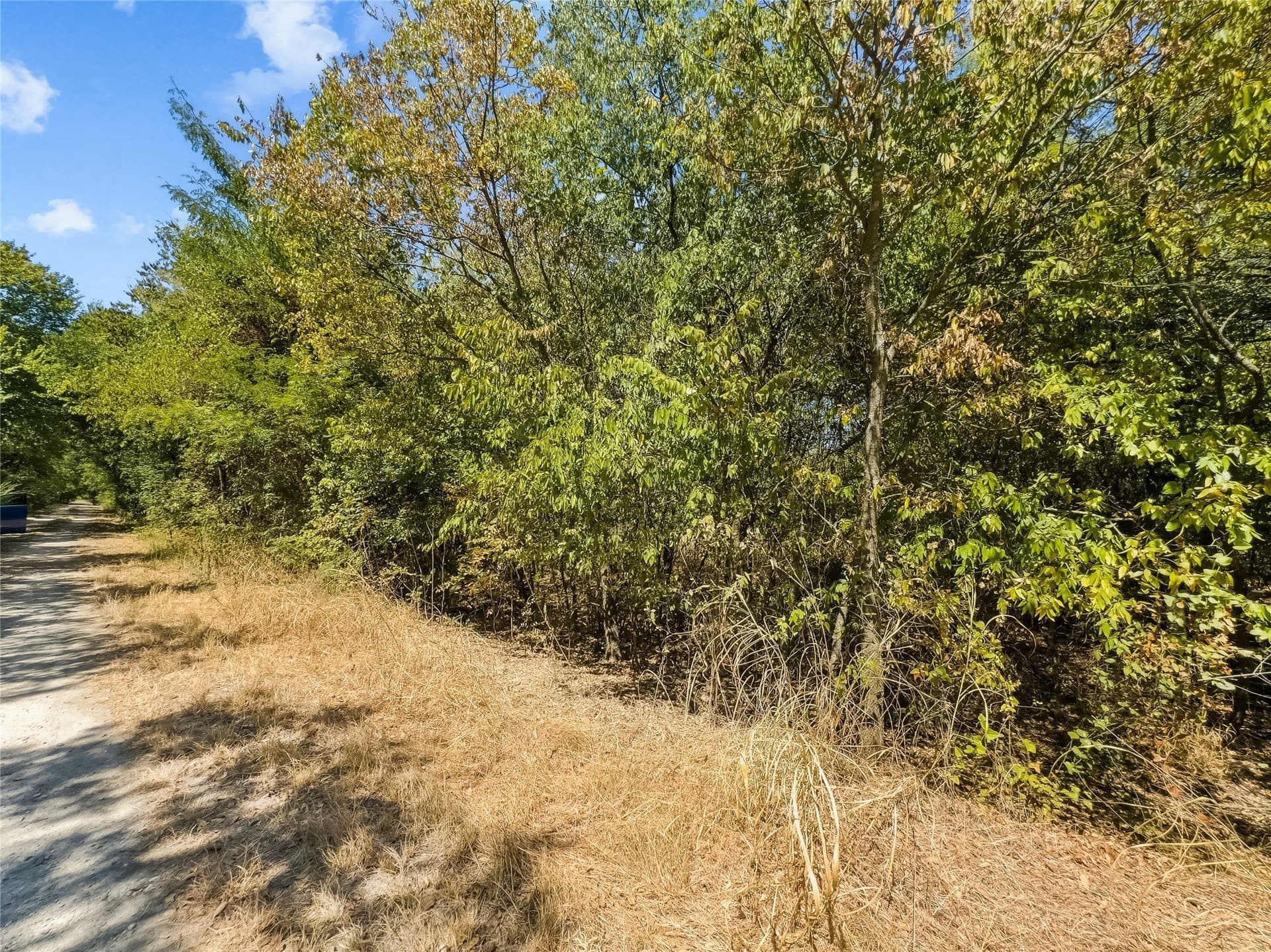 0.7 acres in Johnson County - photo 7