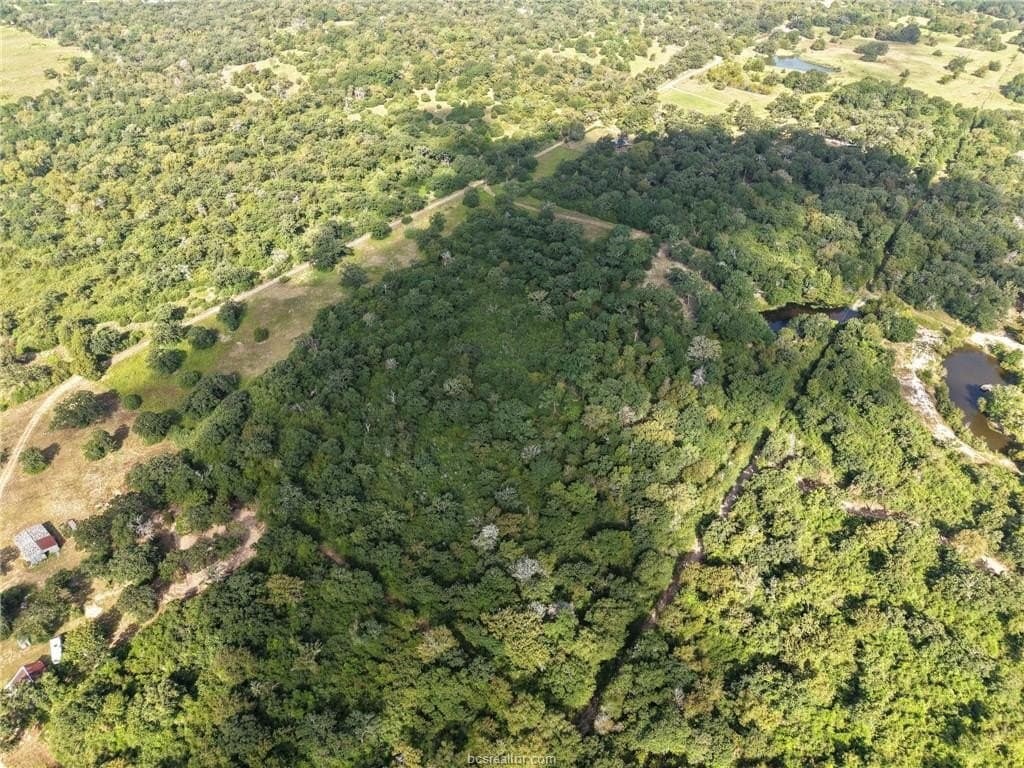 20.08 acres in Brazos County - photo 7