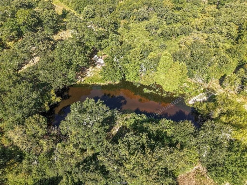 20.08 acres in Brazos County - photo 2