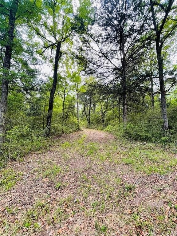 5.51 acres in Robertson County featured view