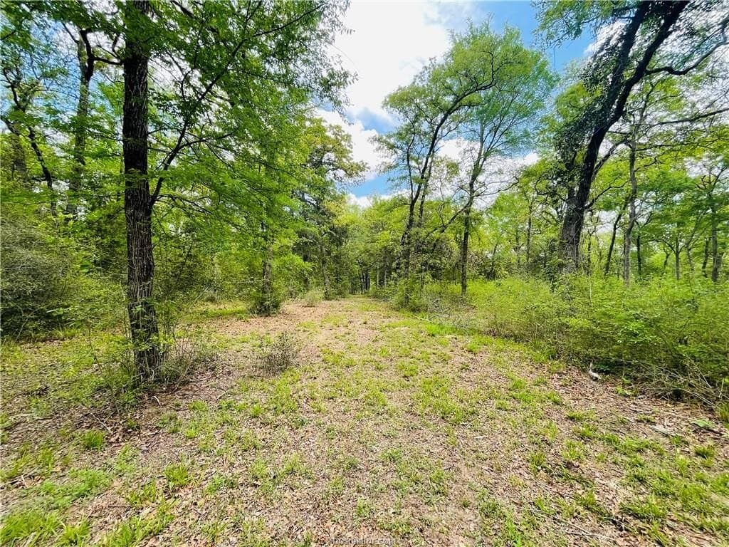 5.51 acres in Robertson County gallery image 4