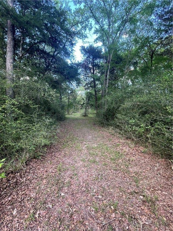 5.51 acres in Robertson County gallery image 2