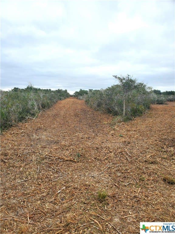 2 acres in Calhoun County gallery image 4
