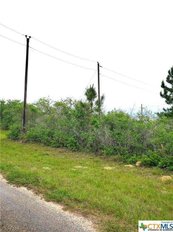 2 acres in Calhoun County gallery image 2