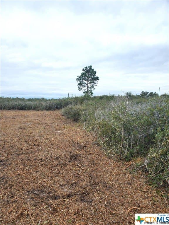 2 acres in Calhoun County - photo 8