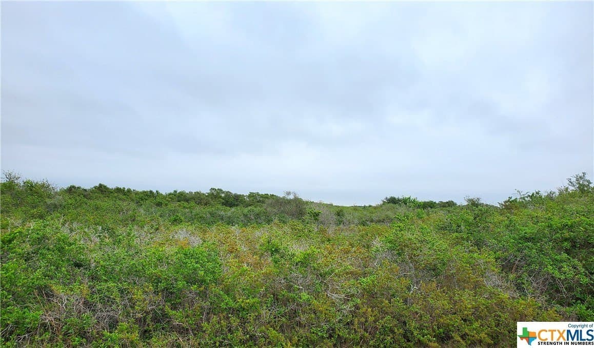 2 acres in Calhoun County gallery image 3