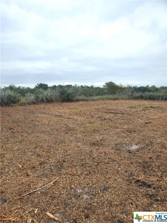 2 acres in Calhoun County - photo 6