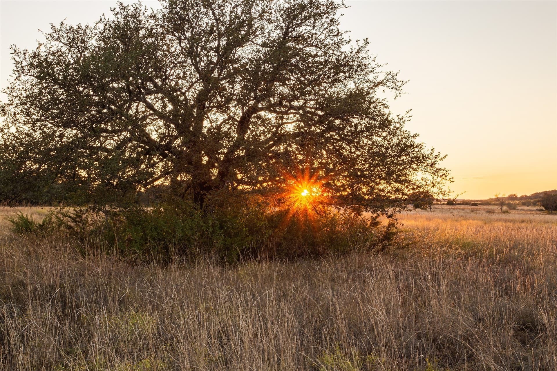 124.41 acres in Hamilton County featured view