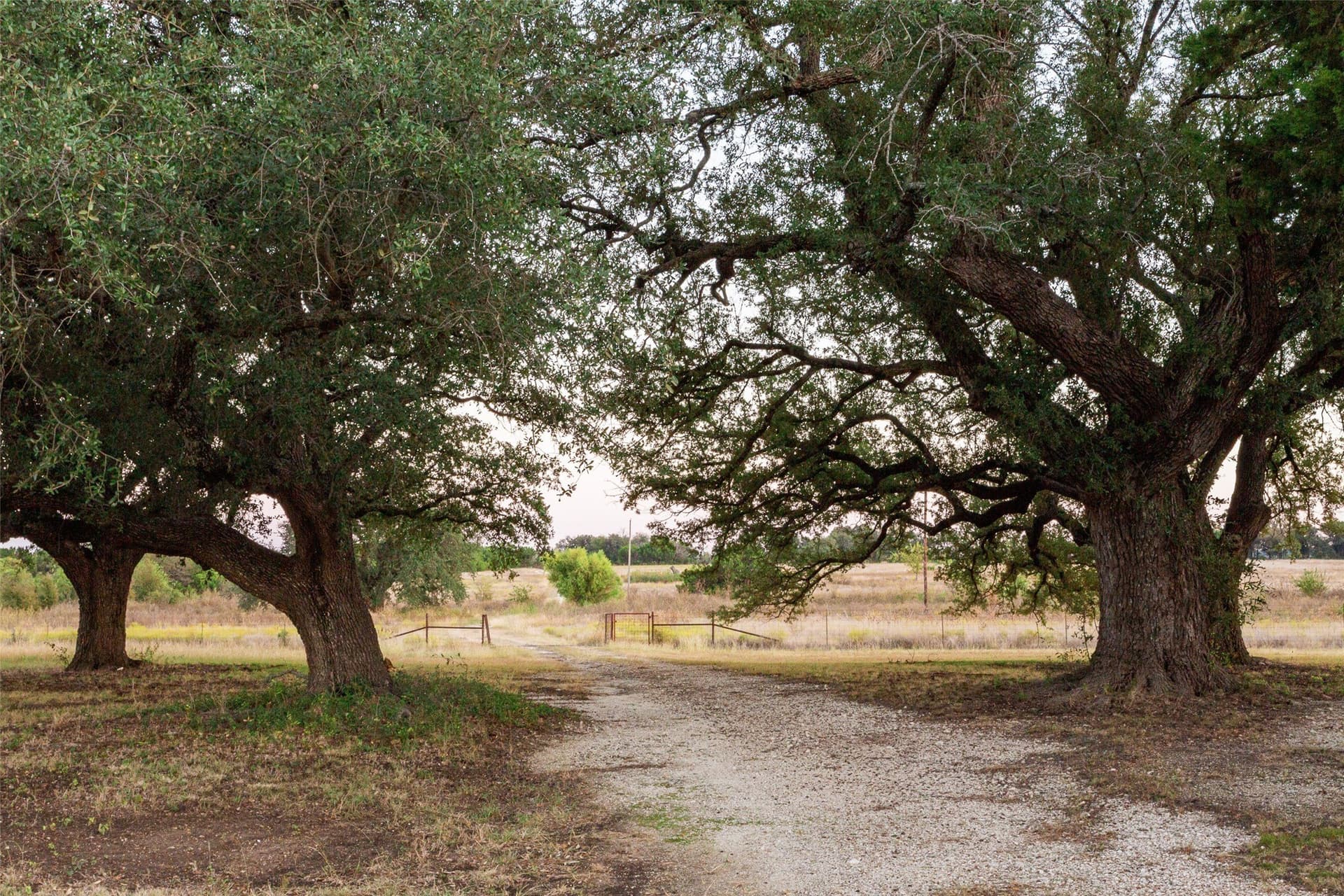 124.41 acres in Hamilton County gallery image 4