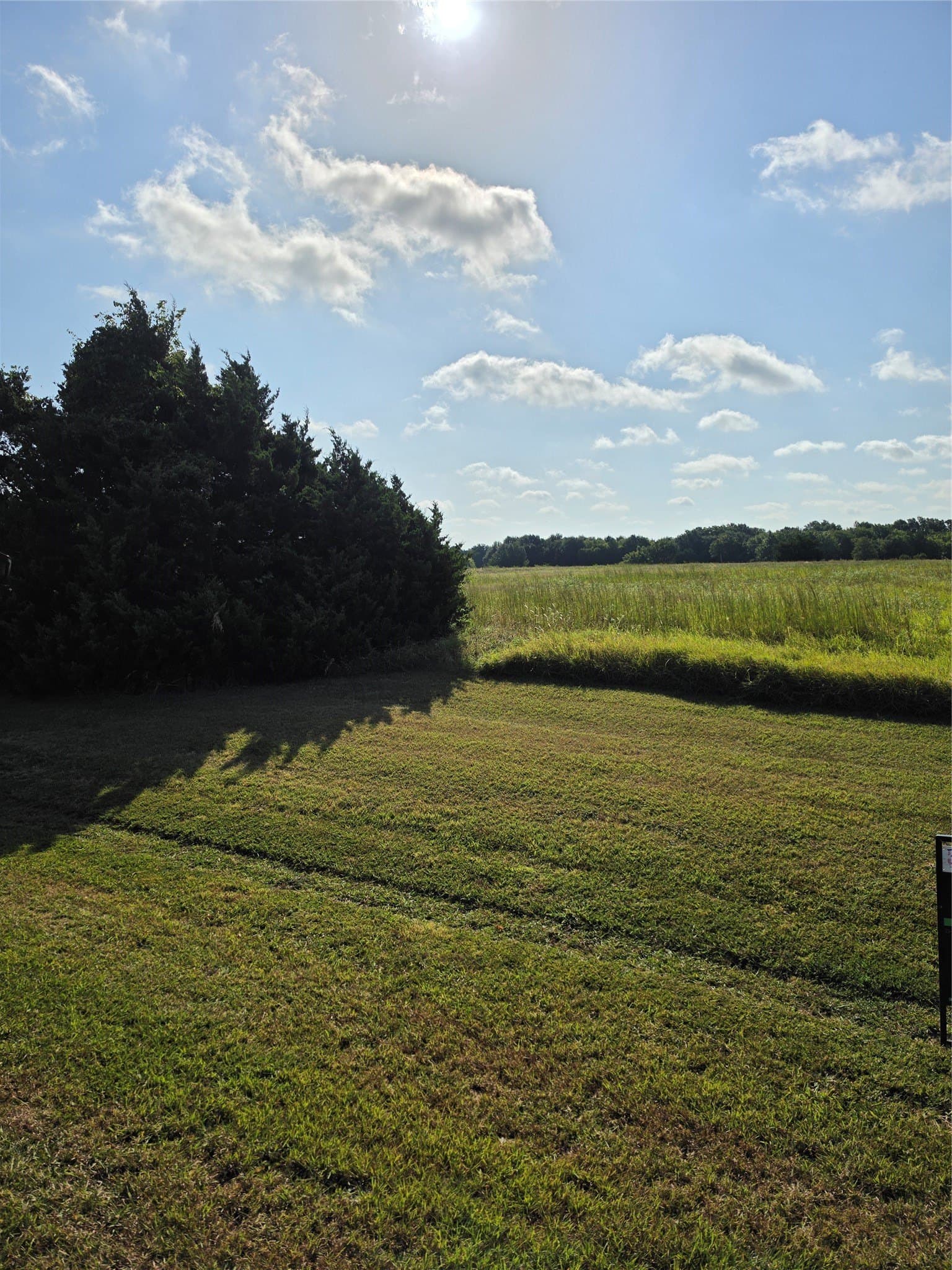 36.69 acres in Hunt County - photo 6