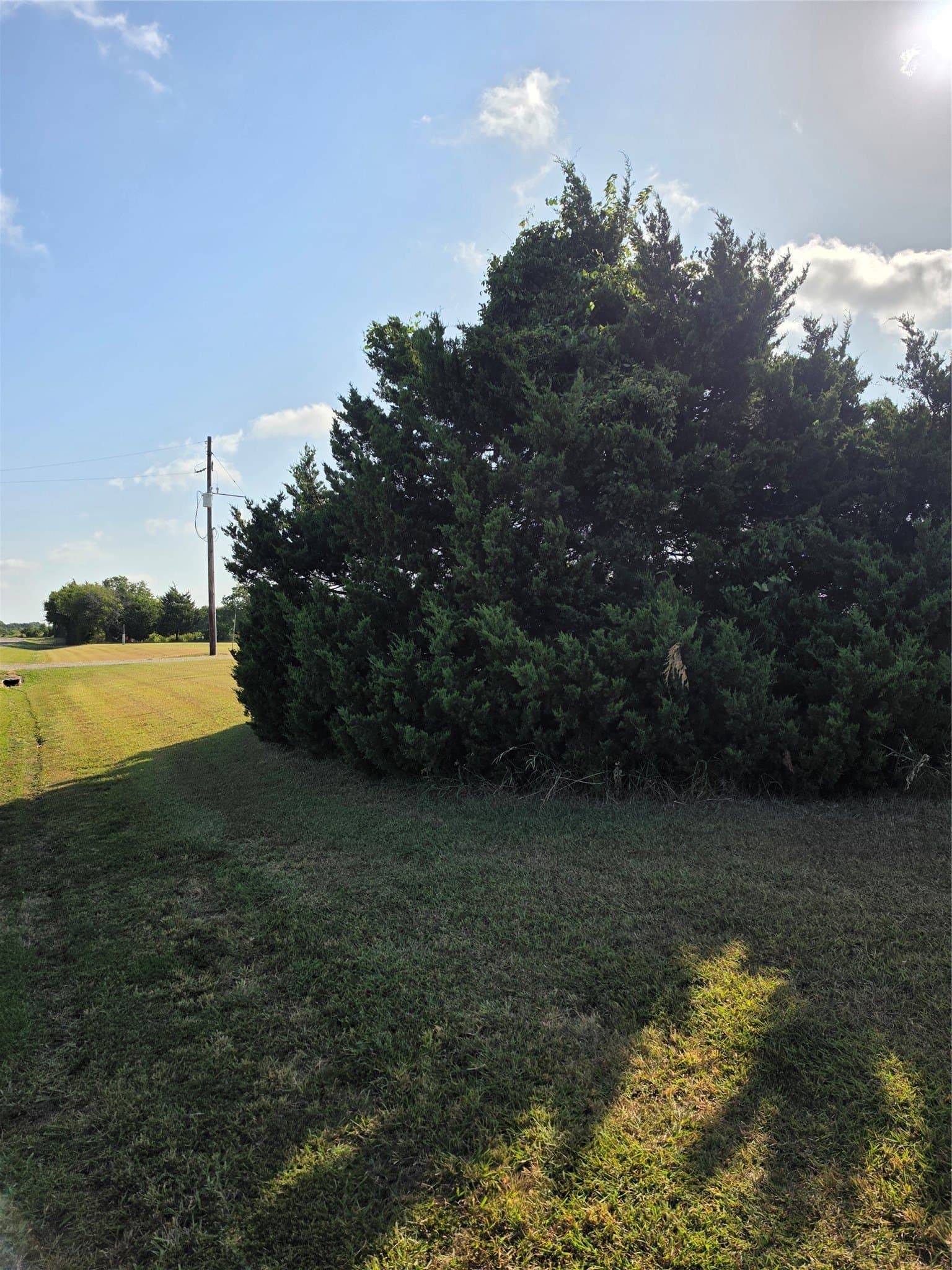 36.69 acres in Hunt County - photo 9