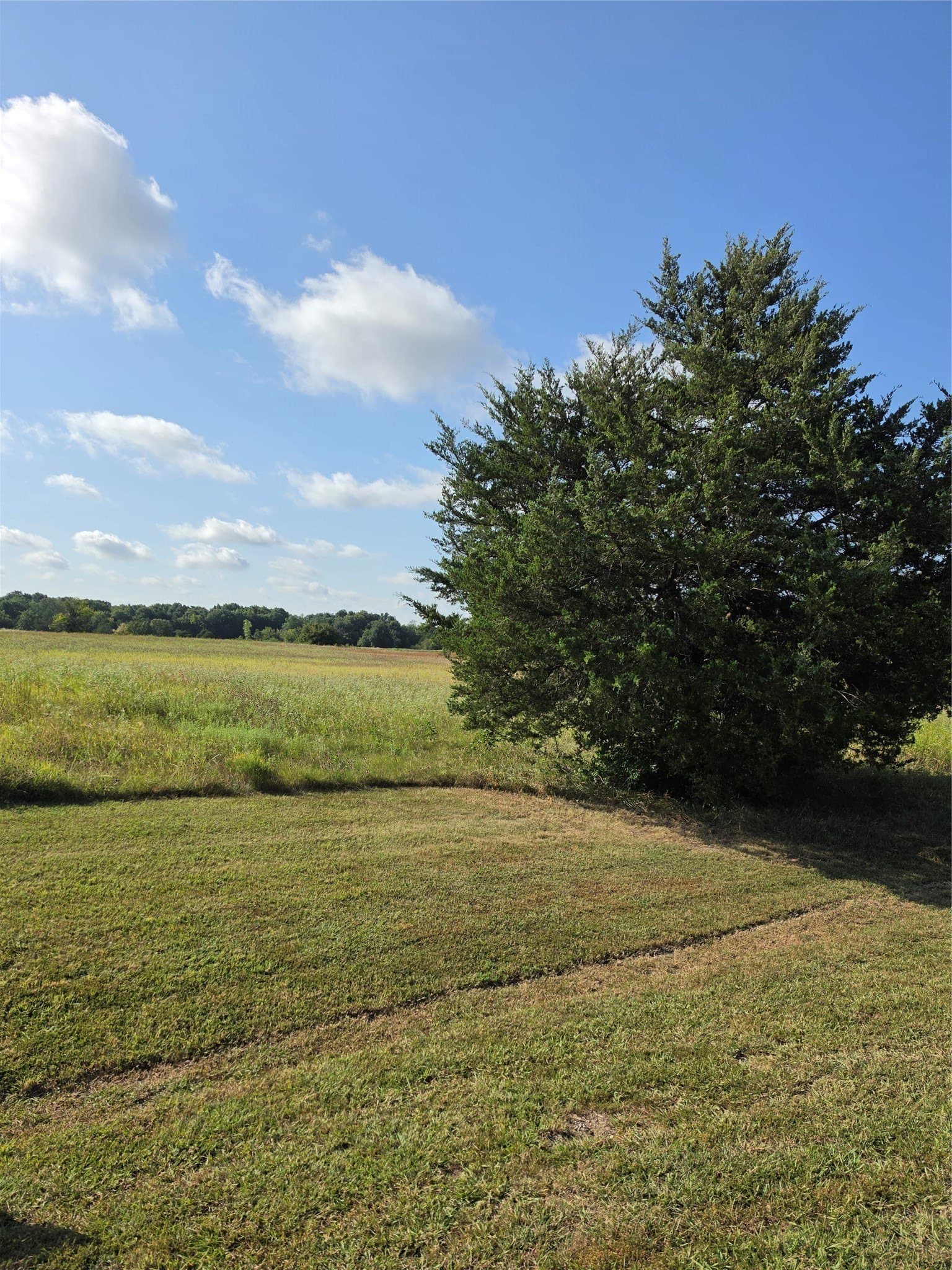 36.69 acres in Hunt County - photo 3