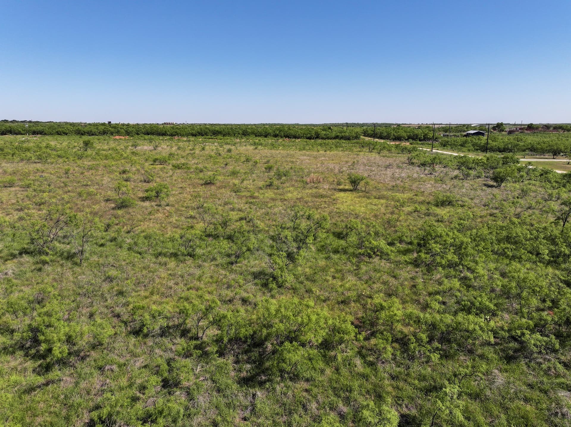 15 acres in Jones County gallery image 3
