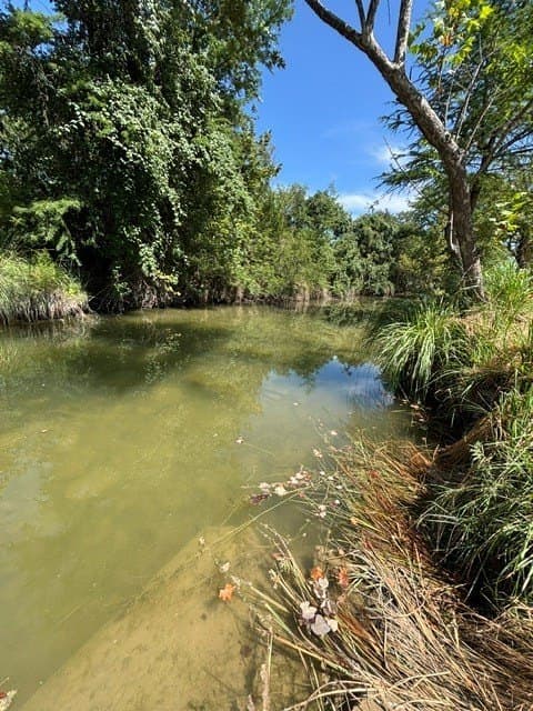 2.95 acres in Bandera County - photo 6