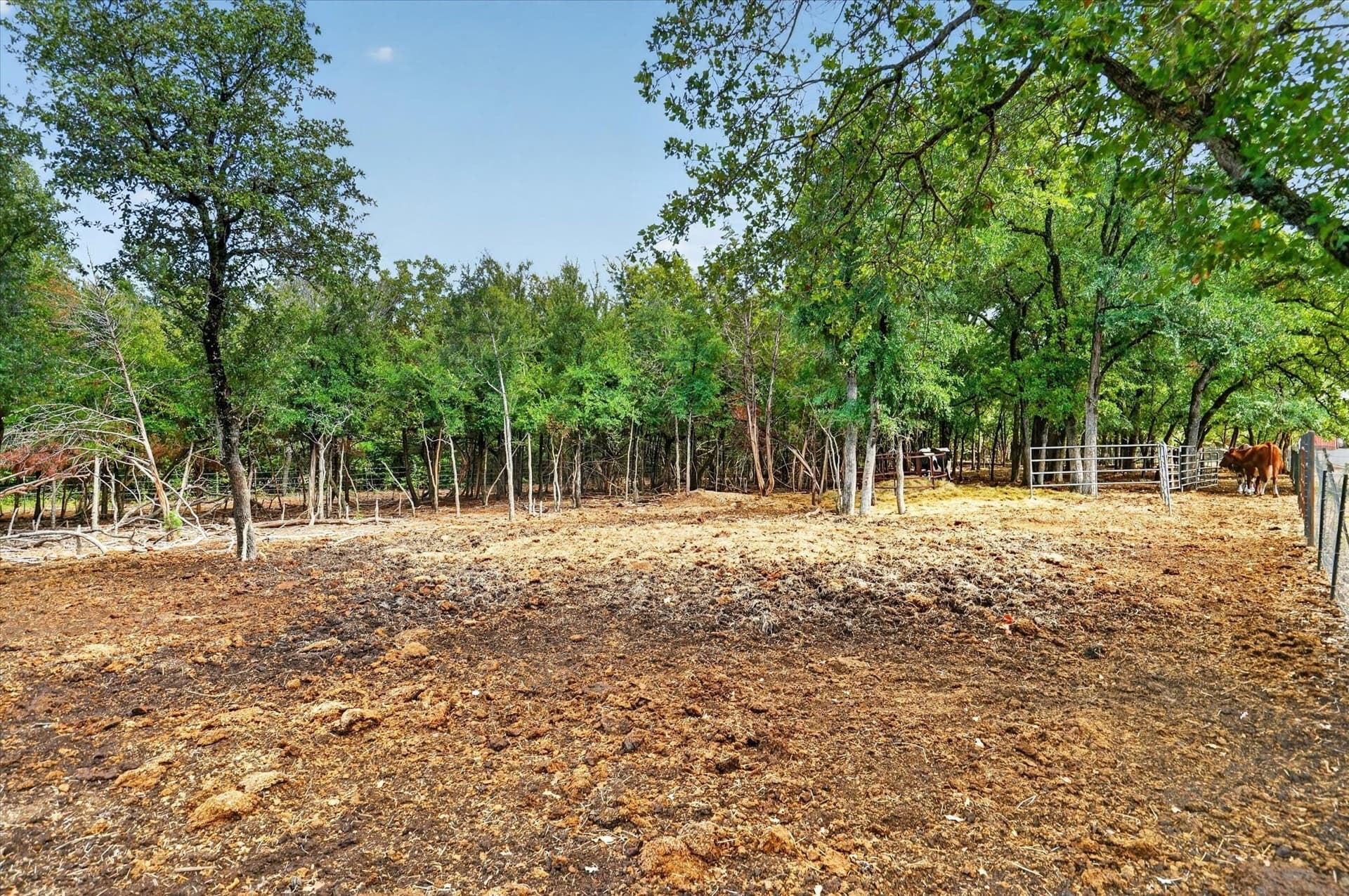 29.36 acres in Erath County - photo 24