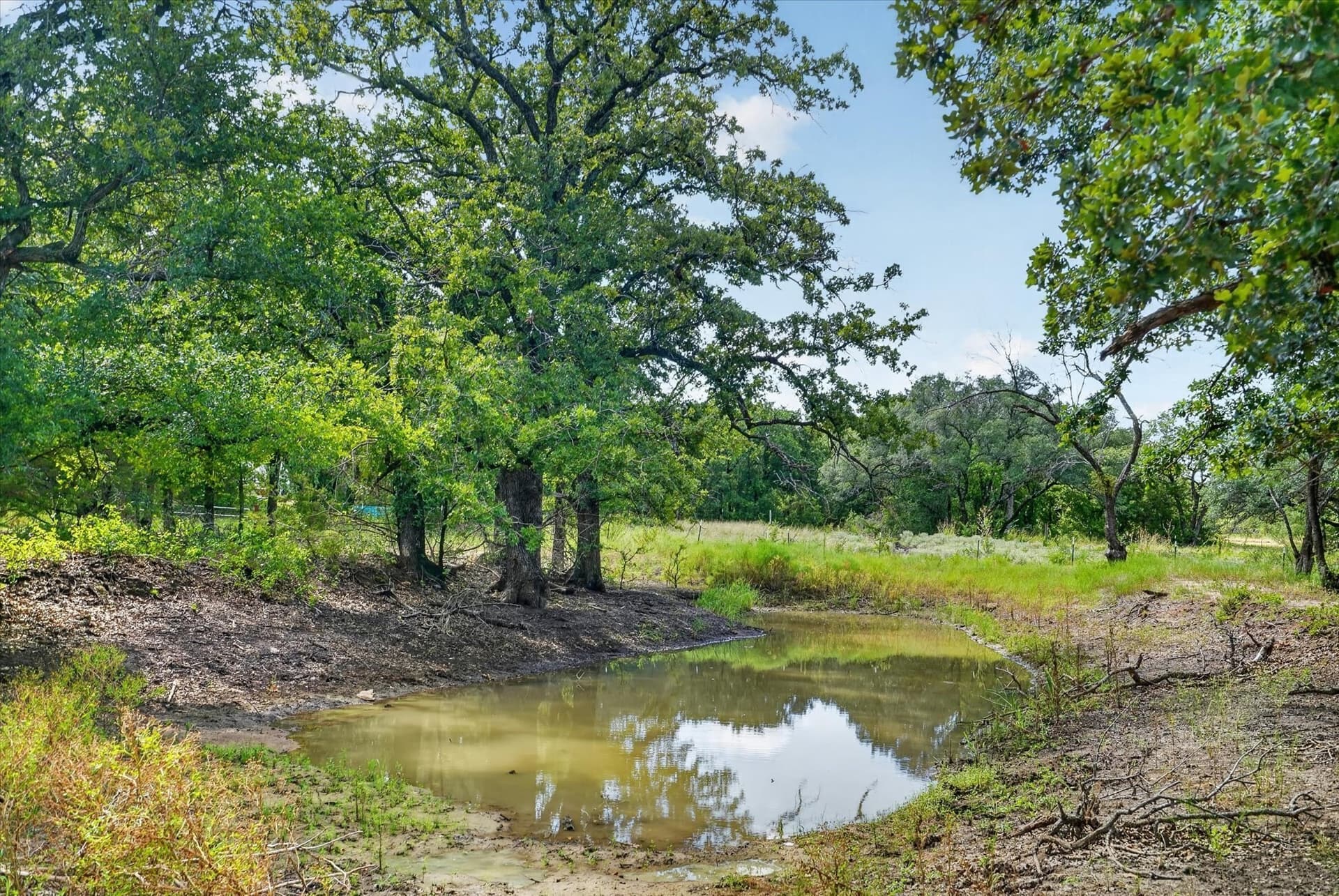 29.36 acres in Erath County - photo 25