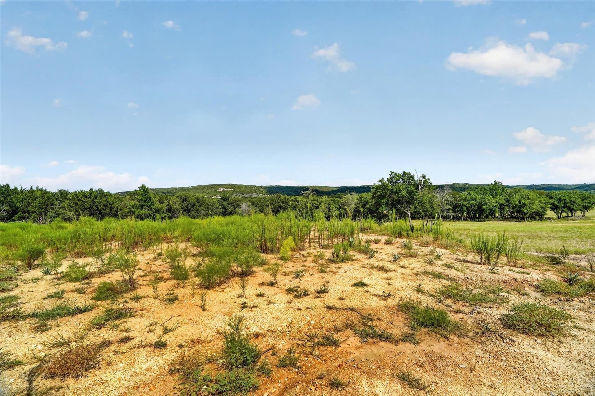 29.36 acres in Erath County - photo 19