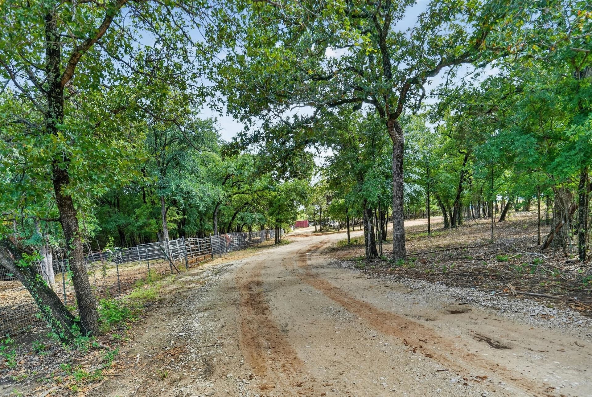 29.36 acres in Erath County gallery image 4