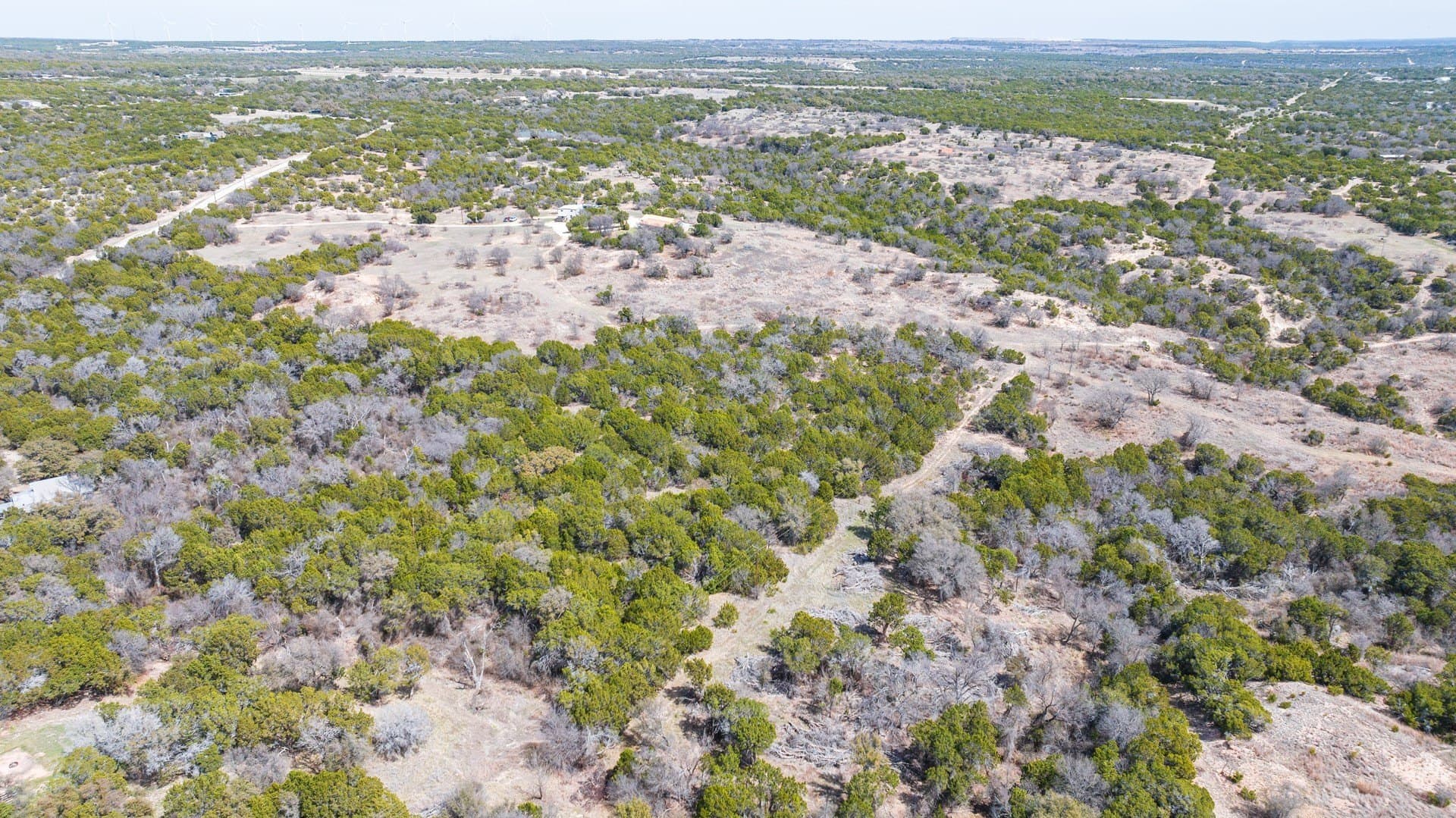 27.19 acres in Taylor County gallery image 2