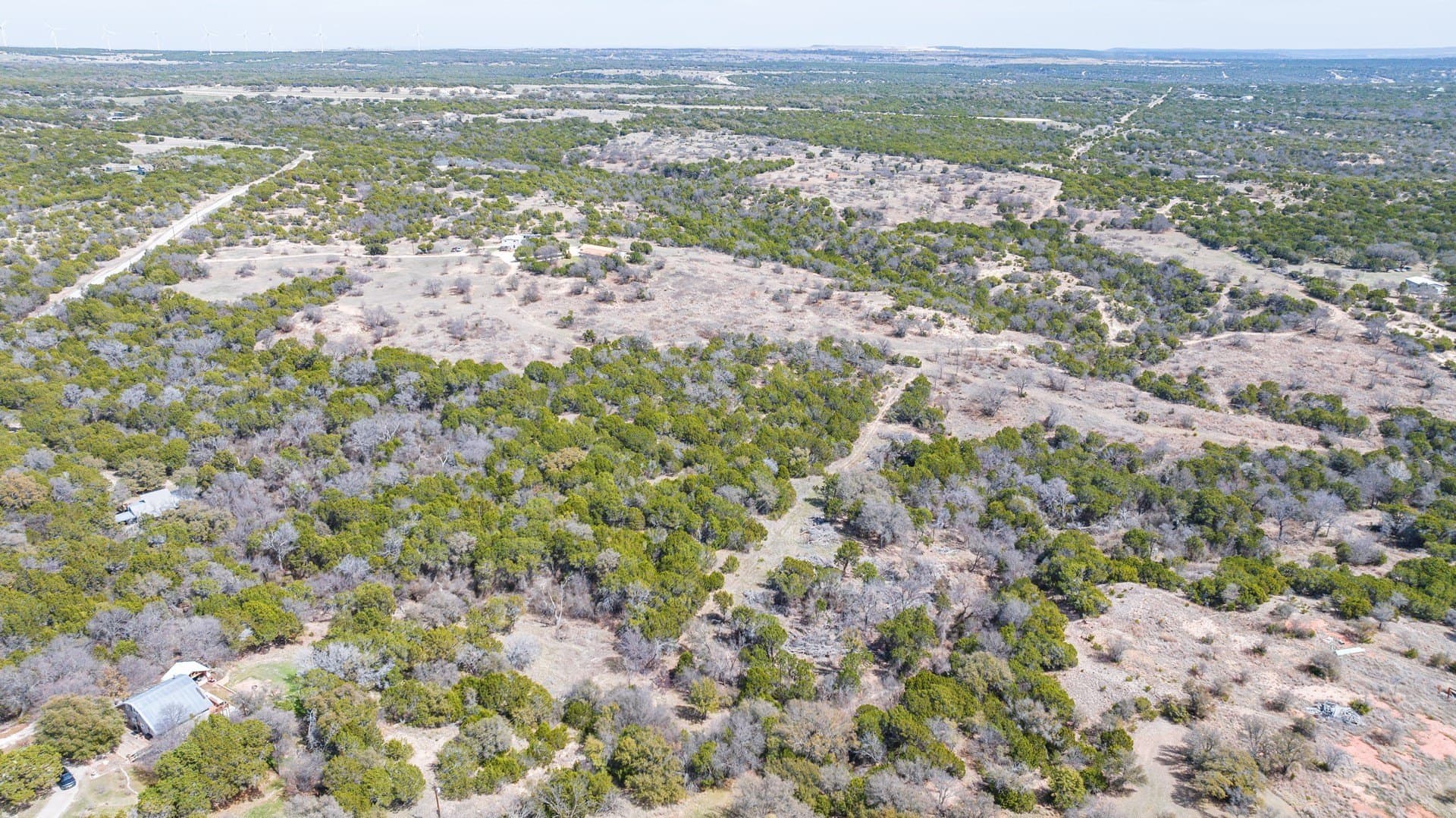 27.19 acres in Taylor County gallery image 3