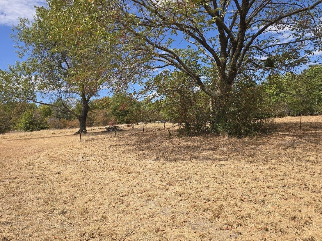 0.26 acres in Henderson County